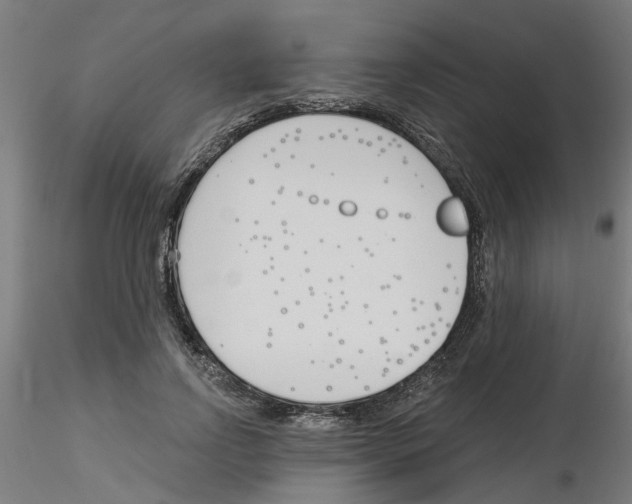 X0000116150742201001041053