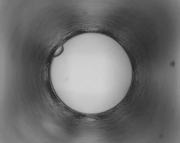 X0000116150743201001041053