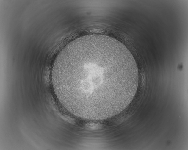 X0000116150745201001041053