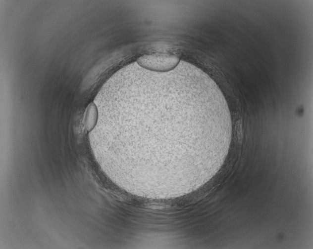 X0000116150746201001041053