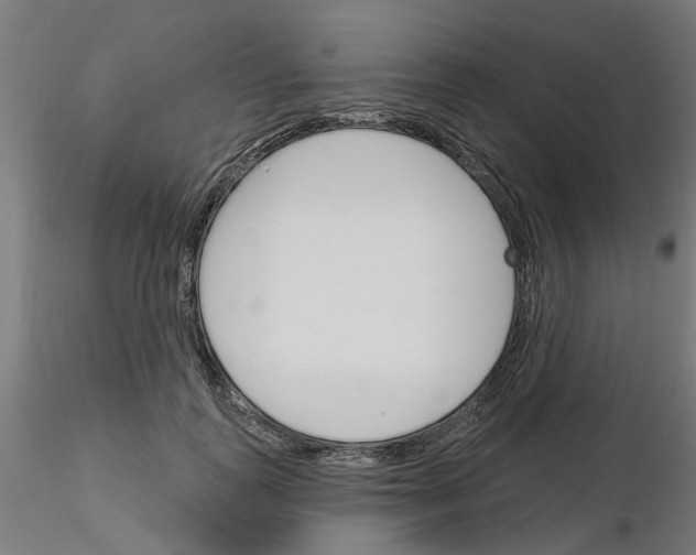 X0000116150747201001041053