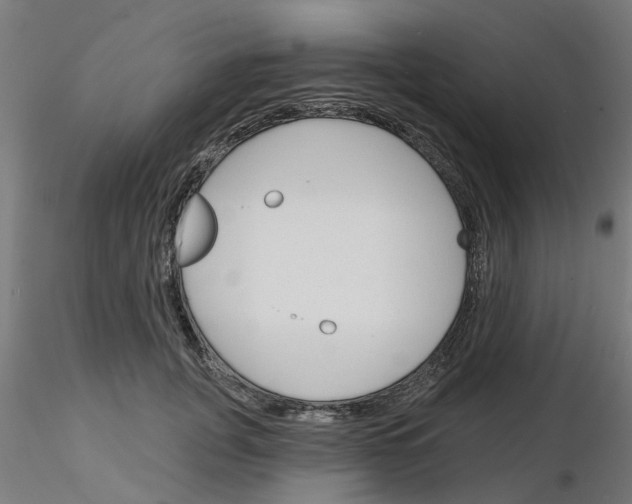 X0000116150751201001041053