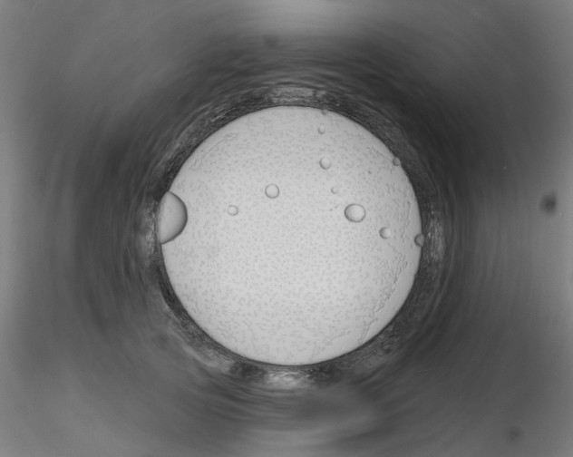 X0000116150753201001041053