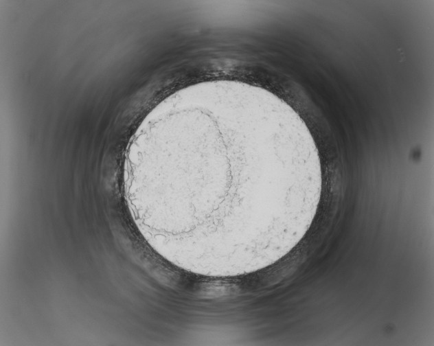 X0000116150754201001041053