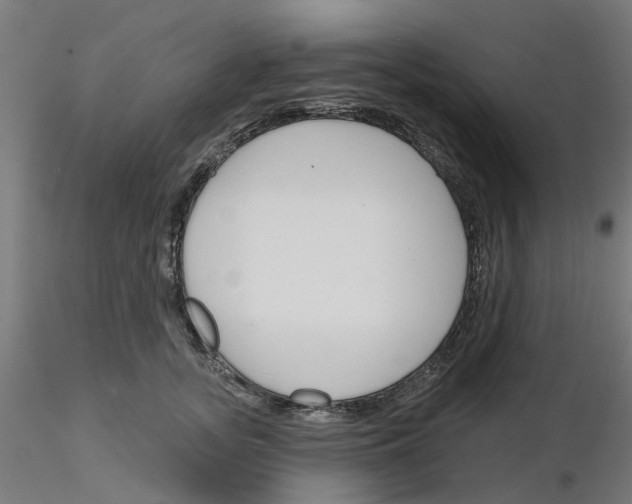 X0000116150755201001041053