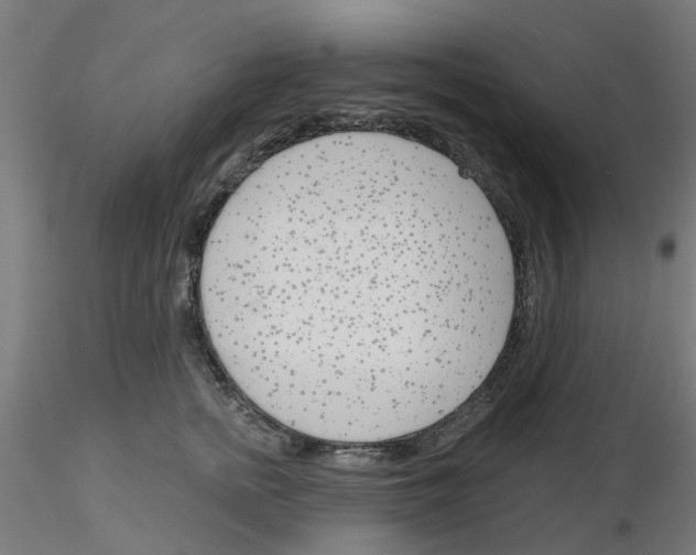 X0000116150758201001041053