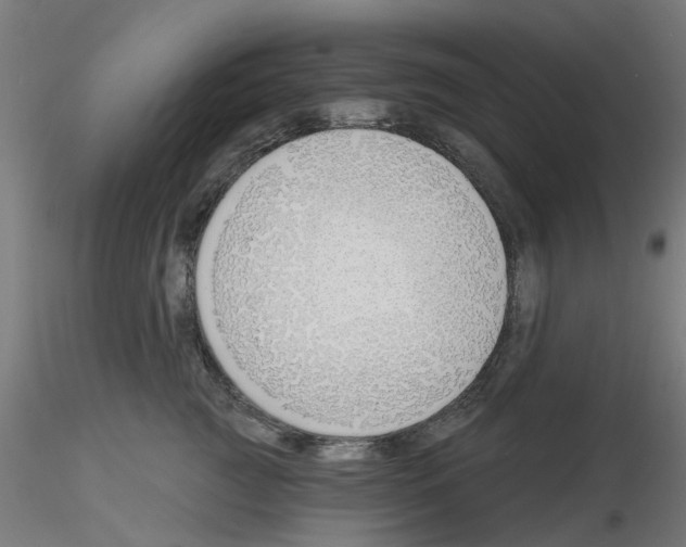 X0000116150761201001041053