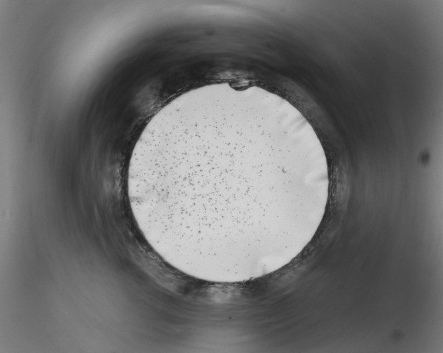 X0000116150762201001041053