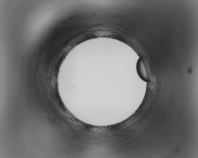 X0000116150763201001041053