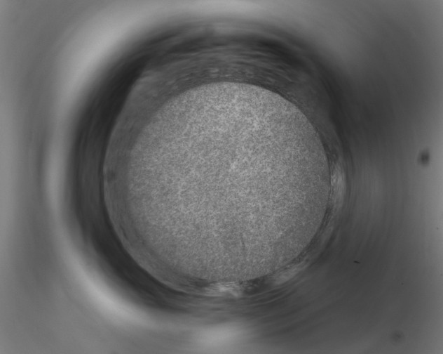 X0000116150765201001041053