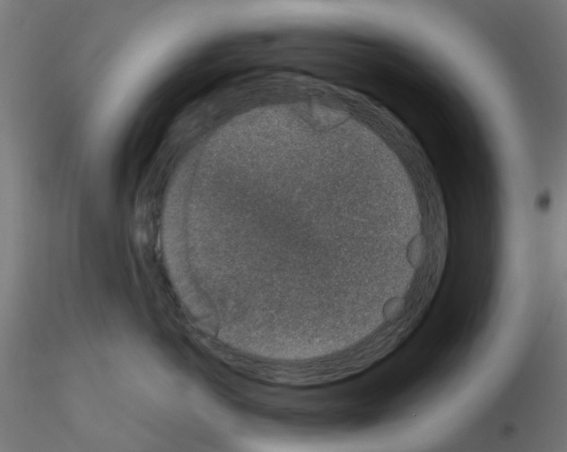 X0000116150766201001041053