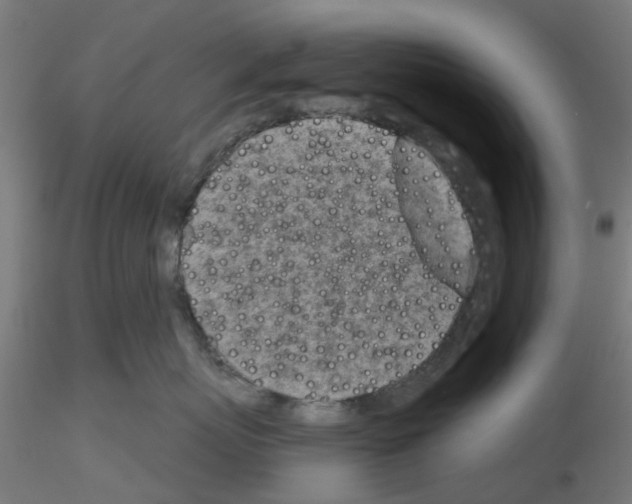 X0000116150767201001041053