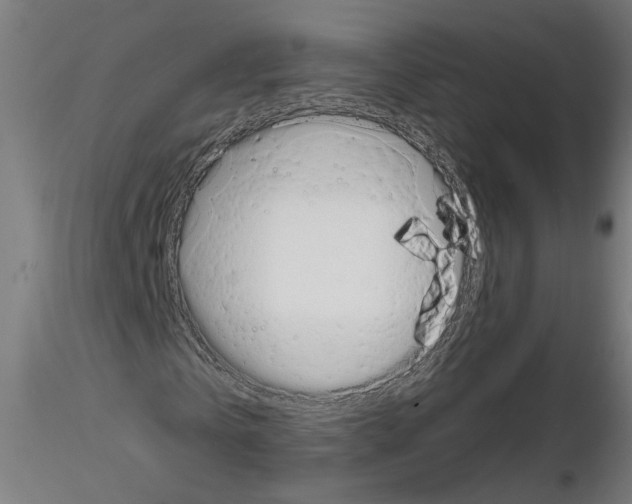 X0000116150769201001041052