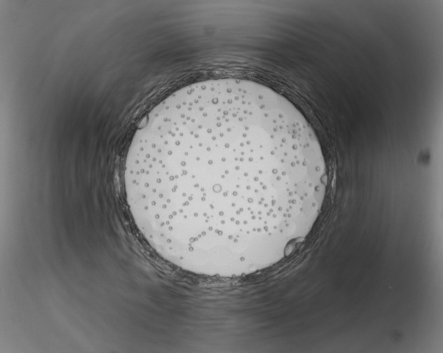 X0000116150771201001041052