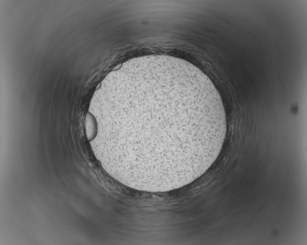 X0000116150772201001041052