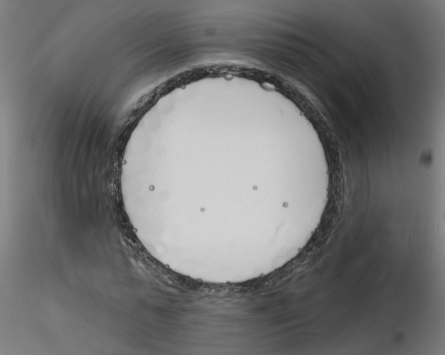 X0000116150775201001041052