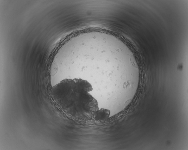 X0000116150776201001041052