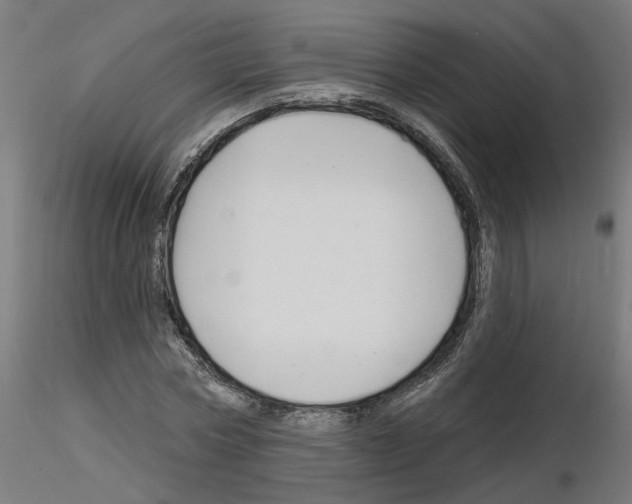 X0000116150778201001041052