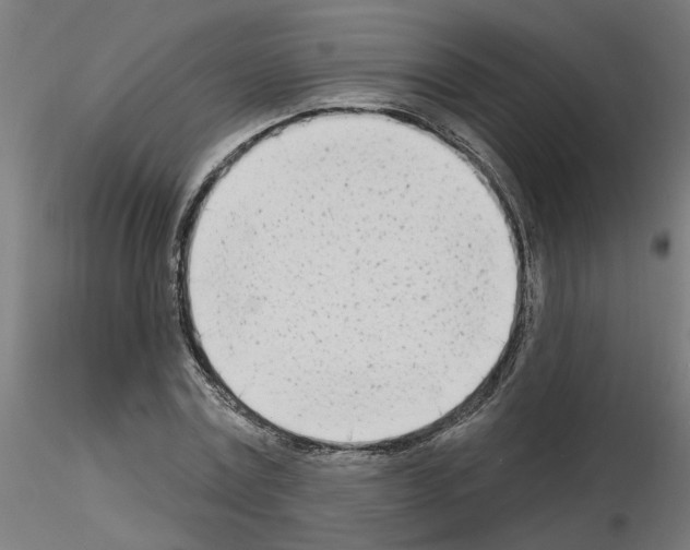 X0000116150779201001041052