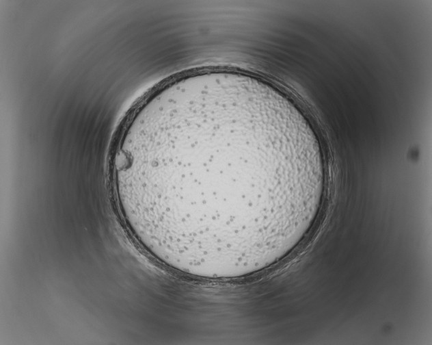 X0000116150780201001041052