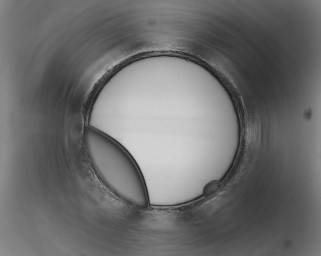 X0000116150781201001041052