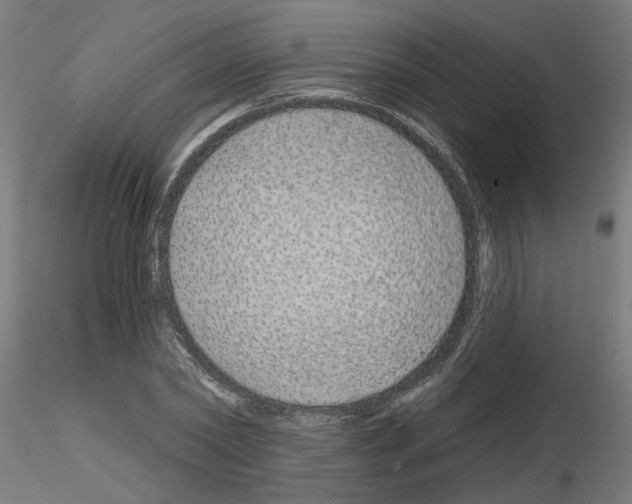 X0000116150782201001041052