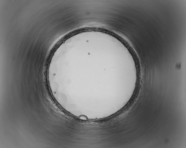 X0000116150783201001041052