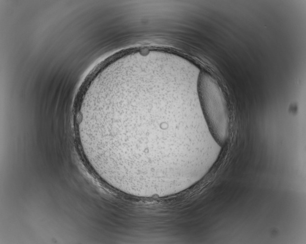 X0000116150784201001041052