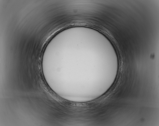 X0000116150786201001041052