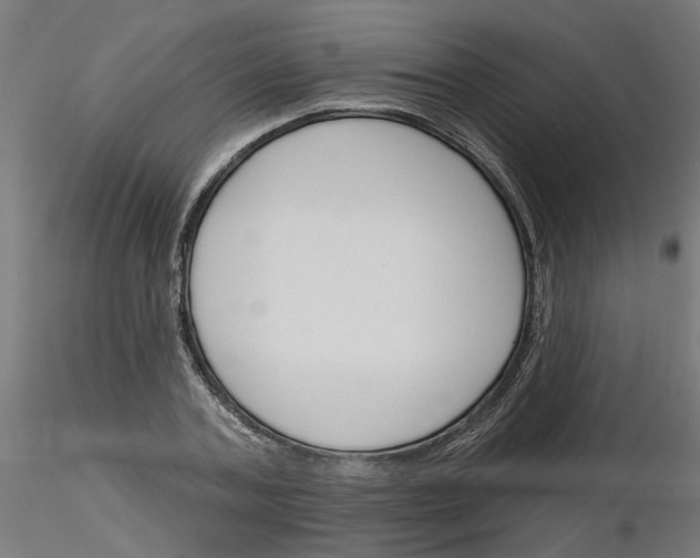 X0000116150787201001041052