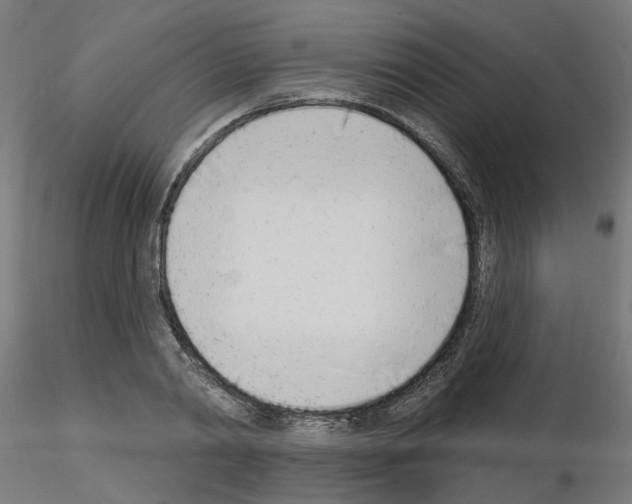 X0000116150790201001041052