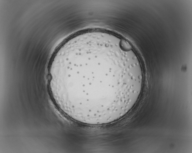 X0000116150791201001041052