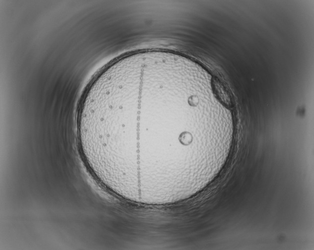 X0000116150792201001041052