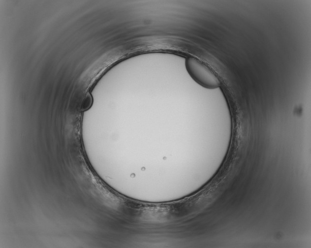 X0000116150793201001041052