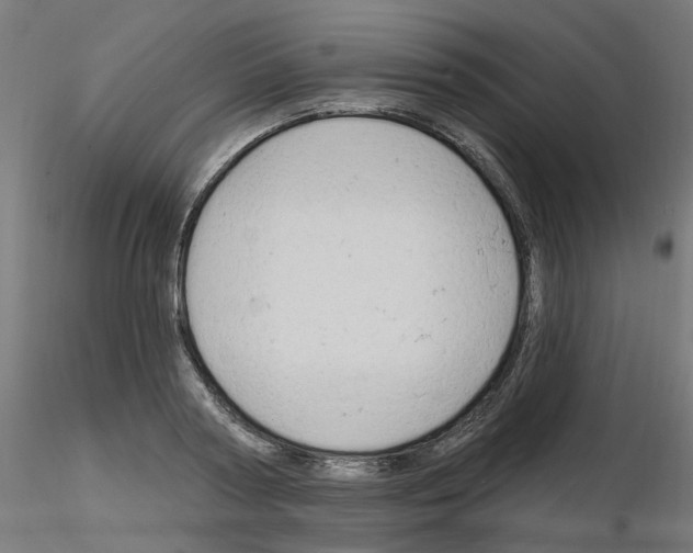 X0000116150794201001041052