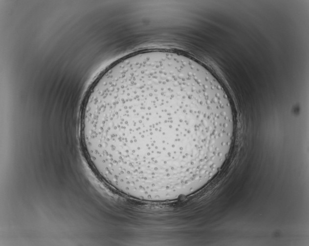 X0000116150795201001041052