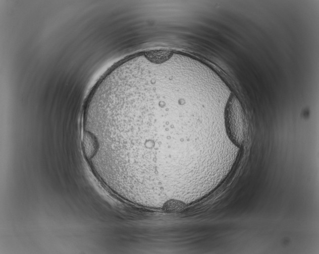 X0000116150796201001041052