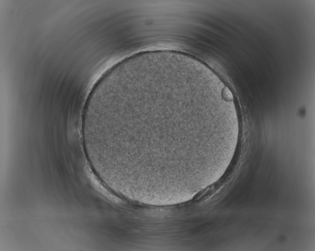 X0000116150797201001041052