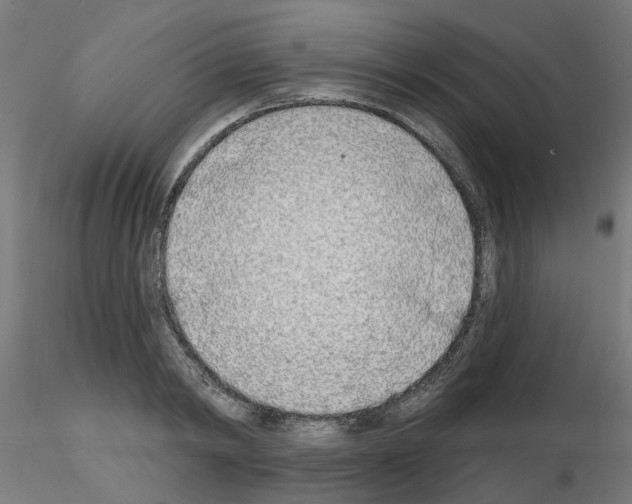 X0000116150798201001041052