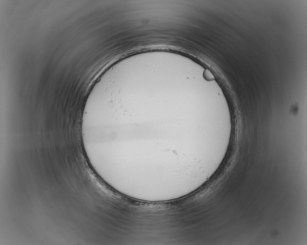 X0000116150801201001041052