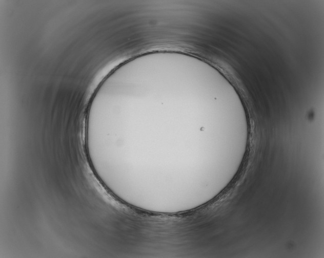 X0000116150804201001041052