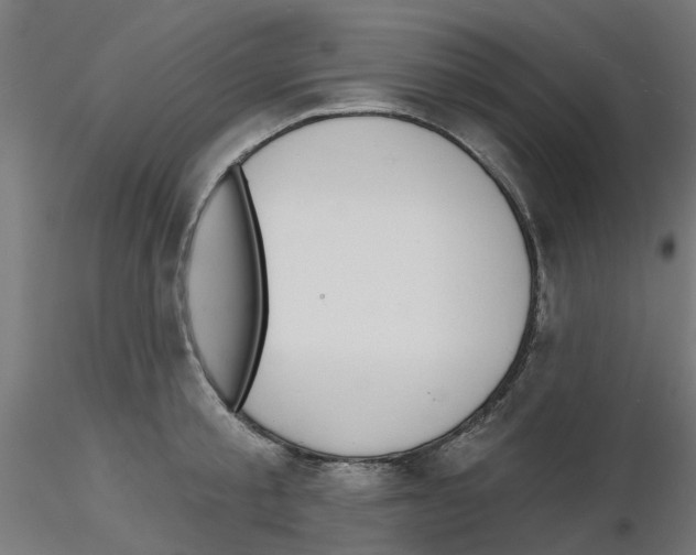 X0000116150805201001041052