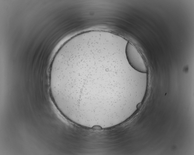 X0000116150808201001041052