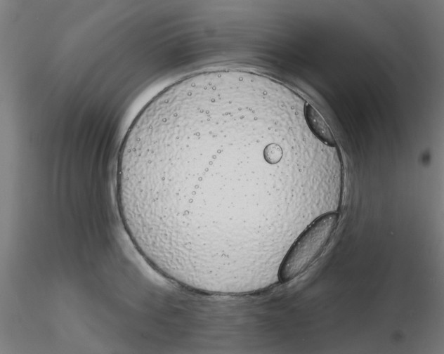 X0000116150812201001041052