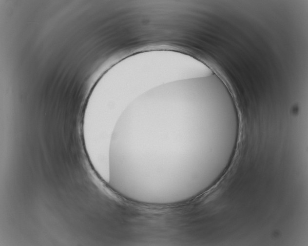 X0000116150813201001041052