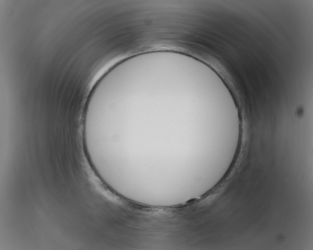 X0000116150814201001041052