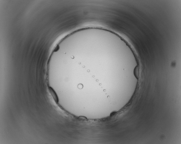 X0000116150815201001041052