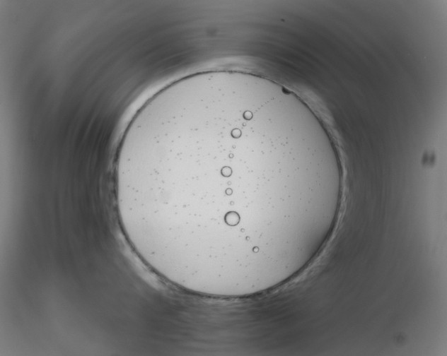 X0000116150816201001041052