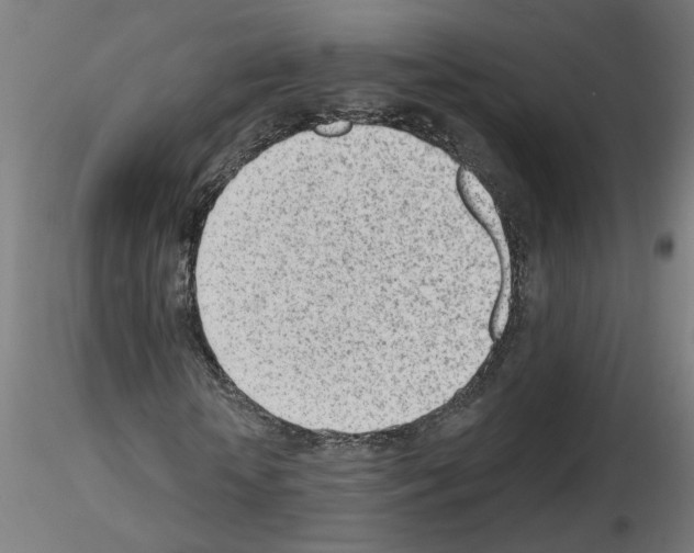 X0000116150818201001041051