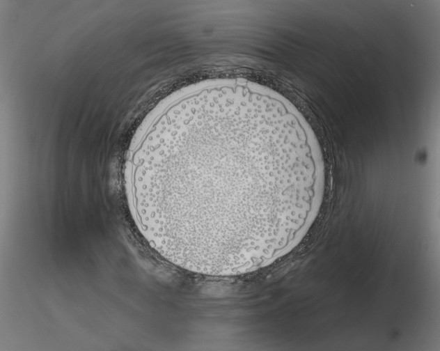 X0000116150819201001041051